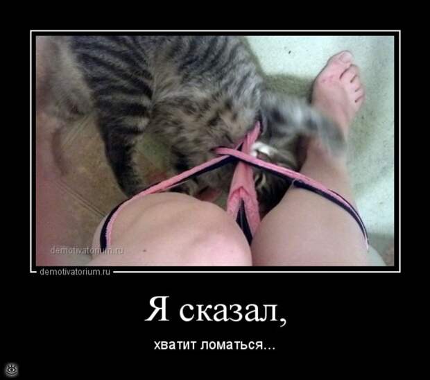 Острые и смешные демотиваторы 21