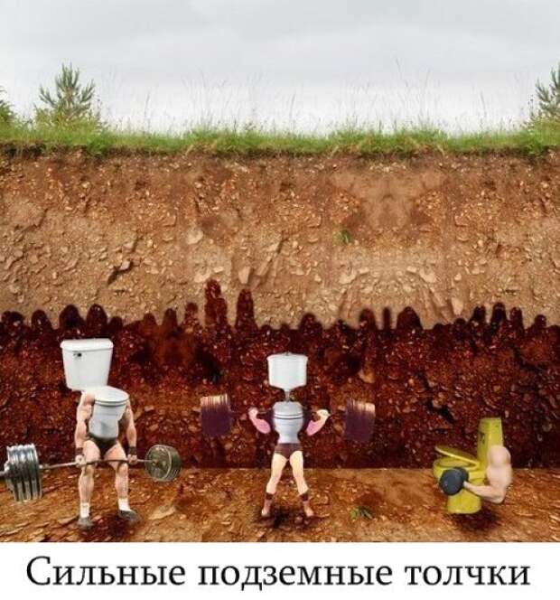 картинки в буквальном смысле слова