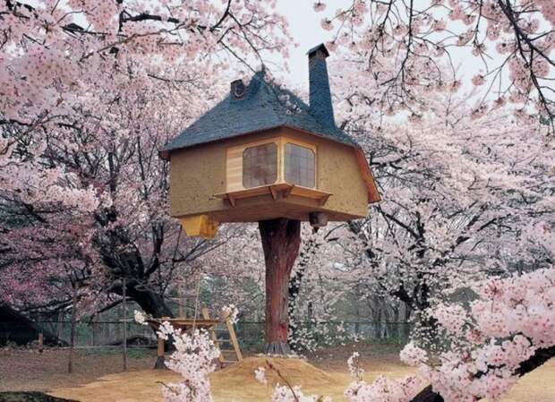 Домик на дереве, Хокуто, Япония