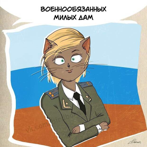 С наступающим 23 февраля! животные, коты, прикол, юмор
