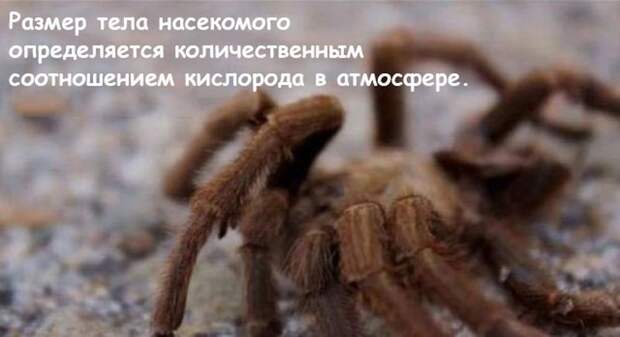 Что случится на Земле, если кислород пропадет на 5 секунд Что случится на Земле, если кислород пропадет на 5 секунд