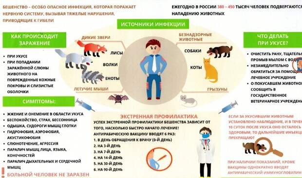 Почему не лечится бешенство?