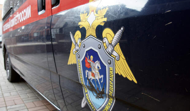 Убийце двух человек в поселке под Оренбургом предъявлено обвинение