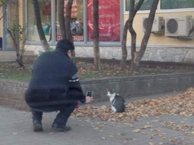 Фото приколы которые веселят.