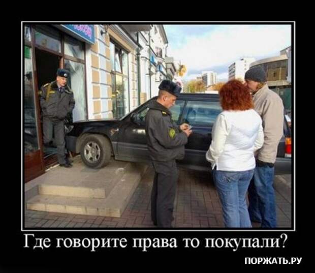 Демы (26 фото)
