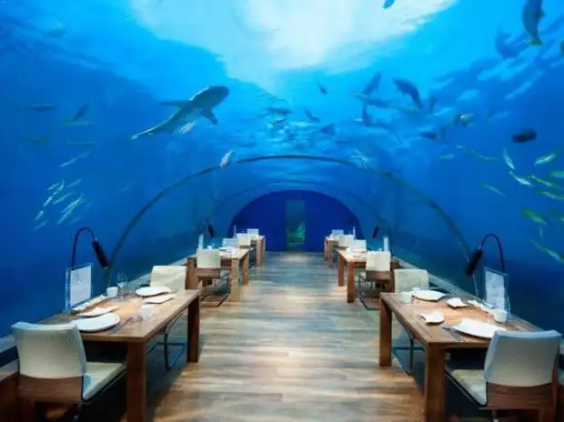 11 сказочных подводных ресторанов, которые надо посетить хотя бы раз в жизни
