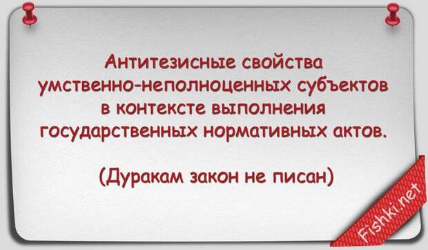 Русские пословицы и поговорки научным языком наука, поговорки, пословицы