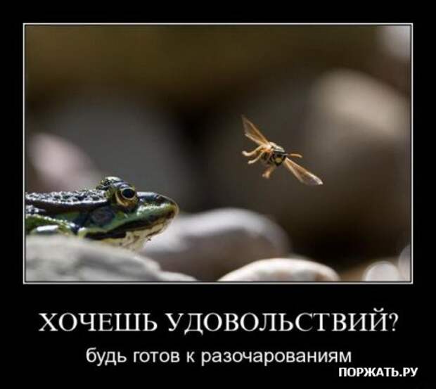 Масса демотиваторов.