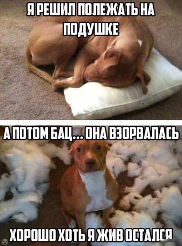 Ерундовские приколы 3