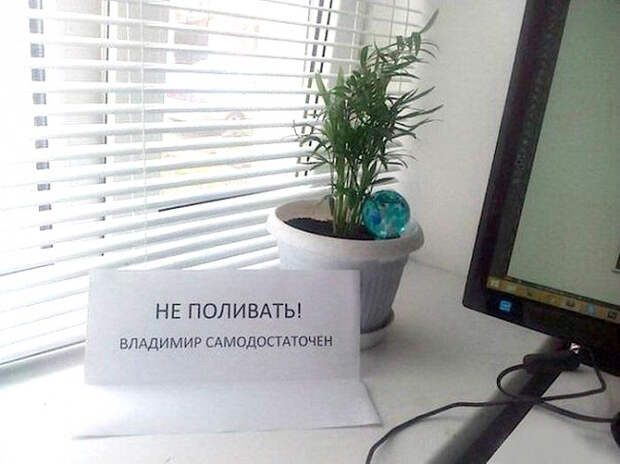Незабываемые объявления и надписи