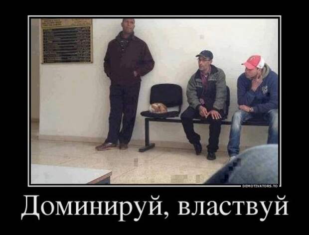 Свежая коллекция демотиваторов (32 шт)