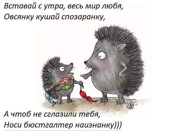 2342087870 (600x420, 147Kb)