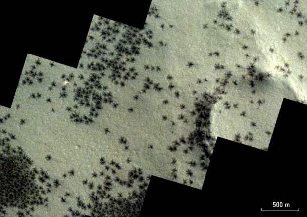 На новых снимках с Марса разглядели "жутких пауков"