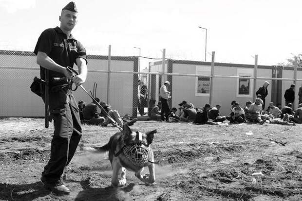 А это фото из одного из лагерей временного размещения мигрантов в Венгрии