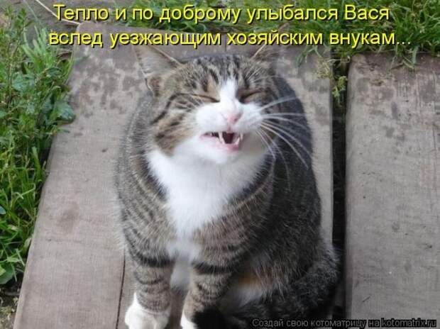 Мысли вслух :)
