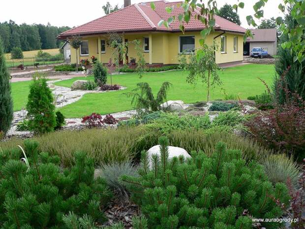 P1200697 (700x525, 214Kb)