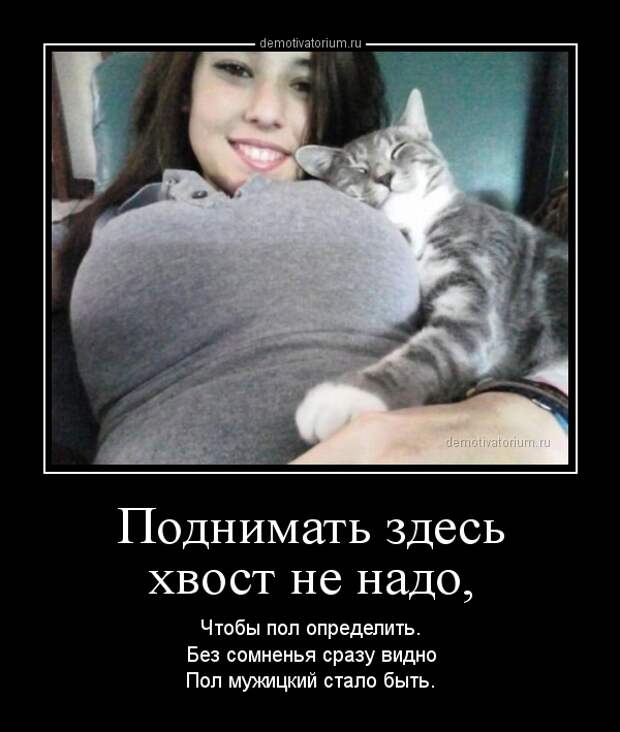 Демотиваторы демотиваторы, прикол, смех, юмор