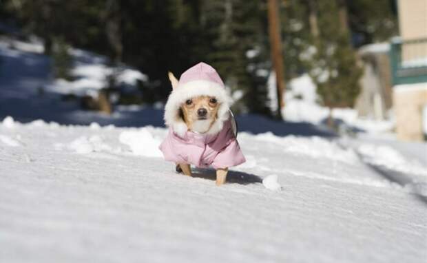 Утепление - обязательно. /Фото: myslo.ru.