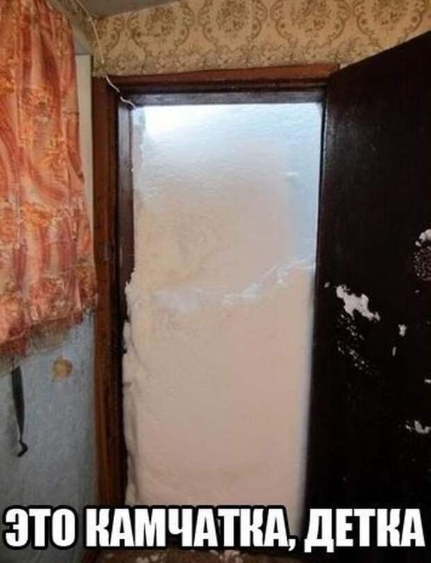 Прикольные картинки