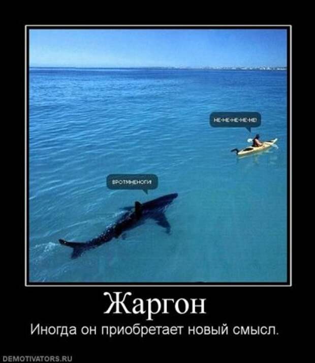 Демотиваторы без мата.