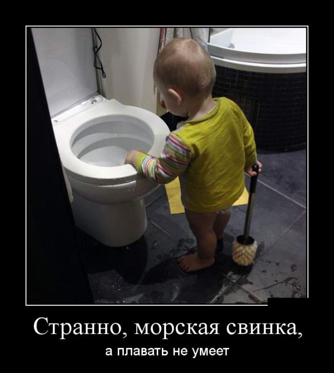 Демотиваторы
