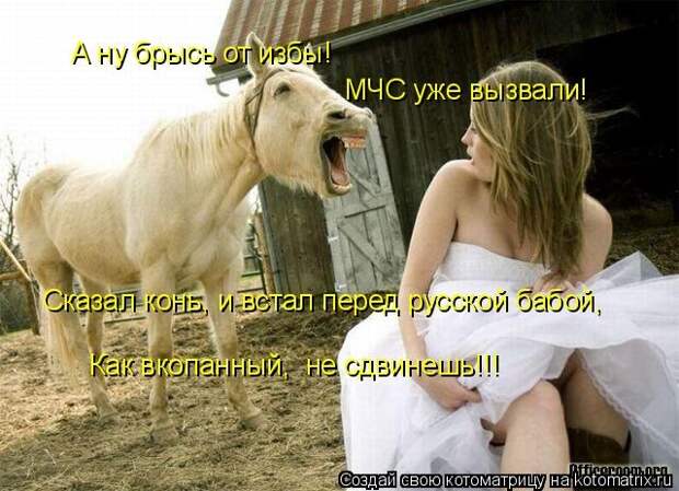 Лучшие котоматрицы недели (50 фото)