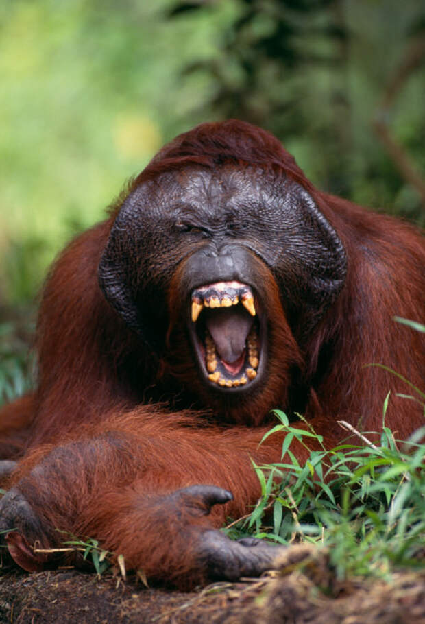 12. Когда люди не принимают твои чувства всерьез, т.к. у тебя 12. Когда люди не принимают твои чувства всерьез, т.к. у тебя