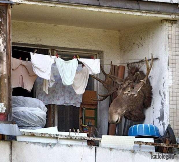 Фото приколы про Россию. Подборка - 270 (85 фото)