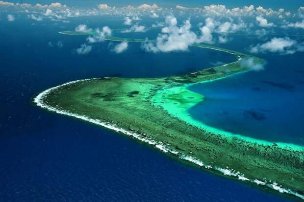 3. Большой Барьерный риф — самая населённая территория на планете познавательно, факты