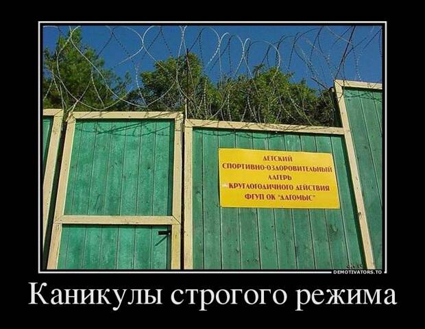 Демотиваторы демотиваторы