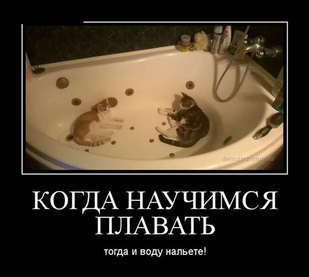 Демотиваторы №1098 (30 фото)