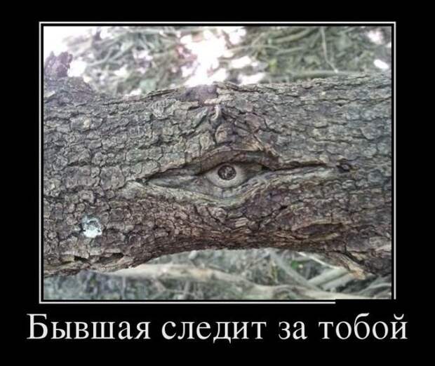 Пятничная подборка демотиваторов  демотиватор, юмор
