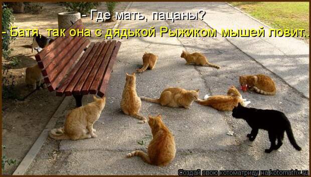 Котоматрица: - Батя, так она с дядькой Рыжиком мышей ловит... - Где мать, пацаны?