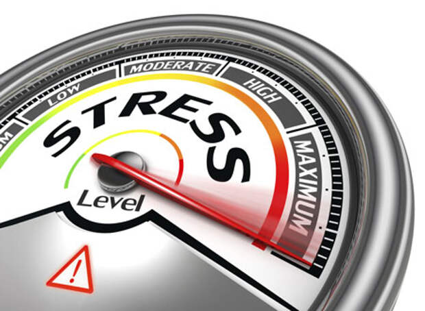 Почему тело и мозг человека не приспособлены к хроническому стрессу