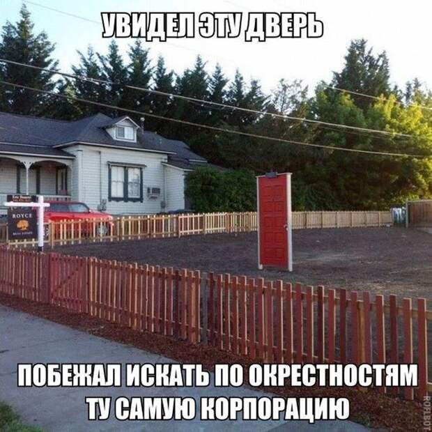 Смешные картинки с подписями катинки, прикол, юмор