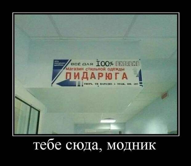 Демотиваторы Демотиваторы демотиваторы, прикол, юмор