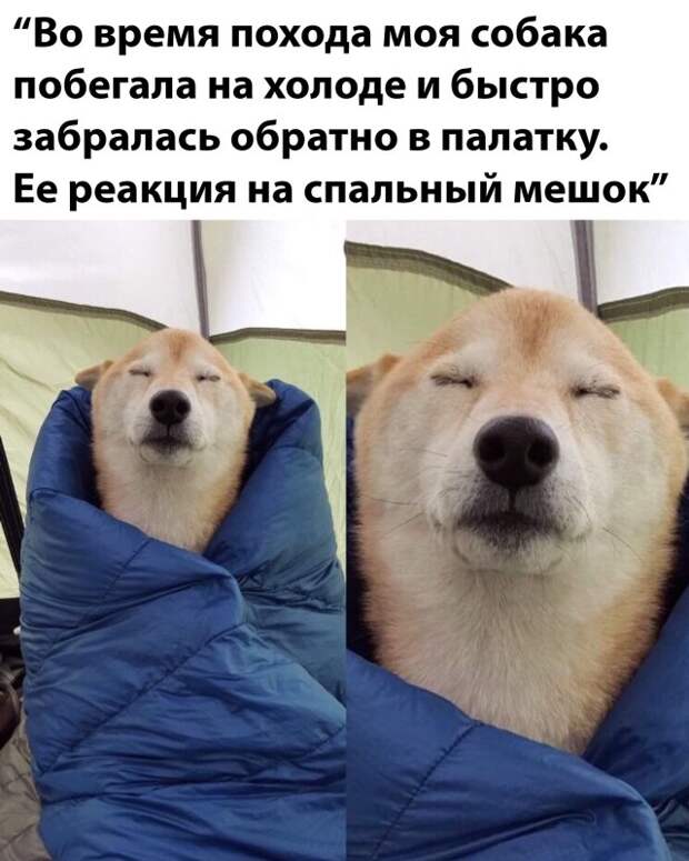 Веселые фотографии утро 20 марта