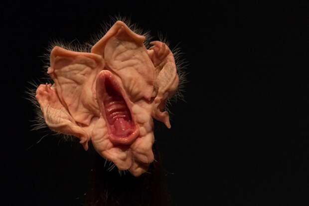 Пугающие работы Patricia Piccinini