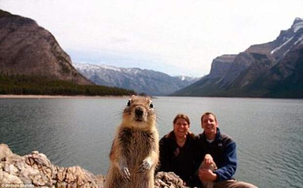 Мелисса Брандтс и её супруг планировали сфотографироваться на фоне живописного озера Минневанка в Канаде, но в фокусе оказалась белка, случайно вклинившаяся в кадр.