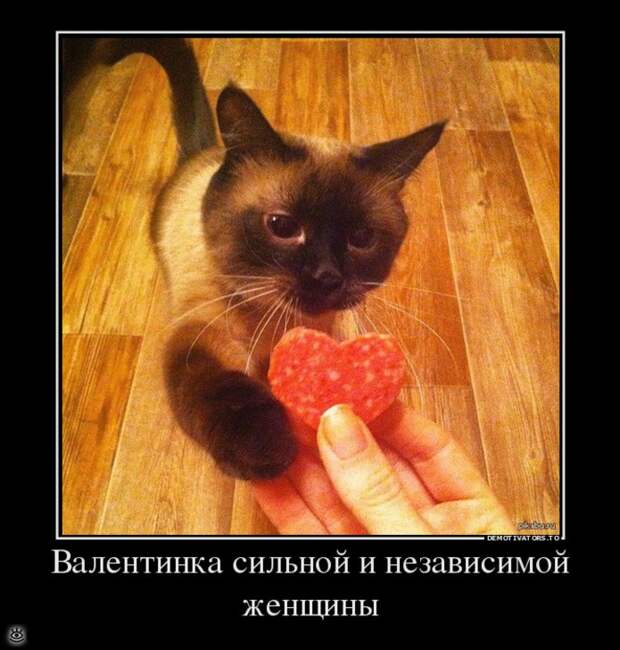 Не жадничай! 18