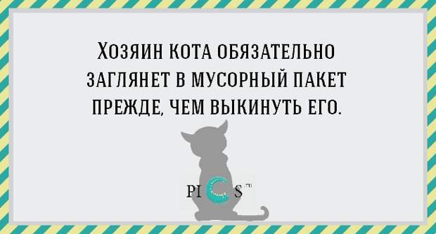 catowner12