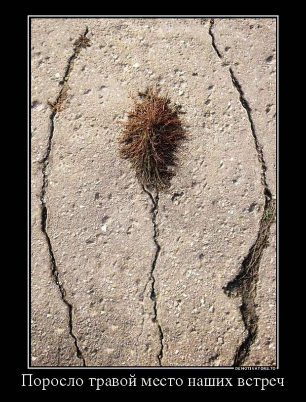 Демотиваторы демотиваторы, юмор