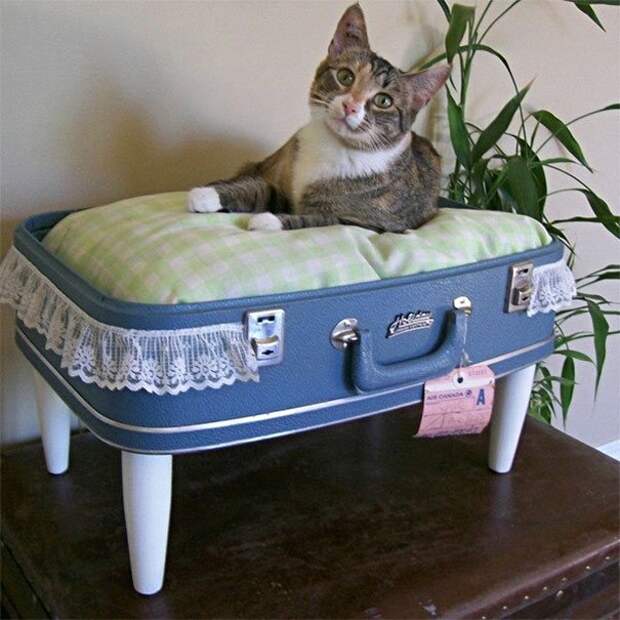 кошачья лежанка из чемодана