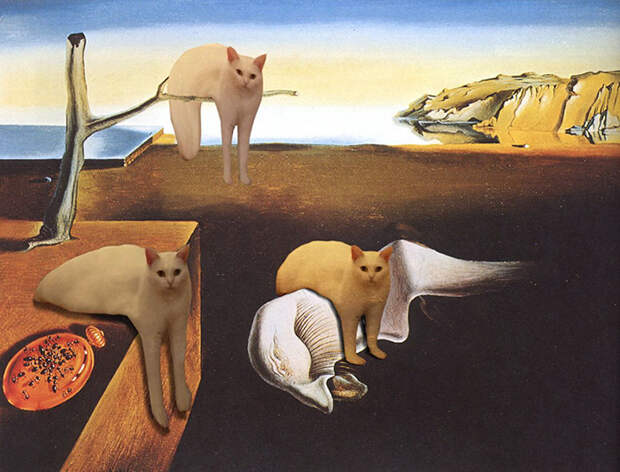 Dali Cat