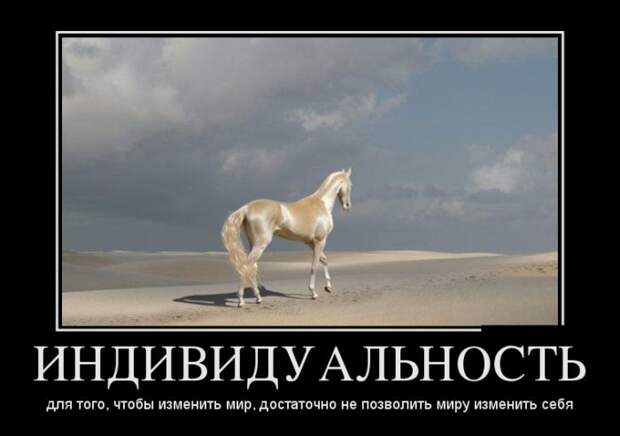 Демотиваторы (30 фото)