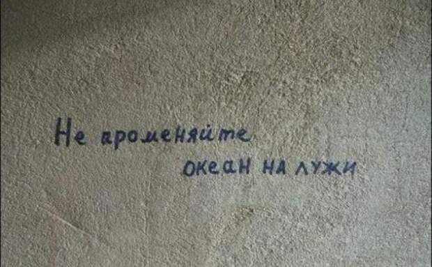 Смешные вывески, объявления и реклама (20 фото)