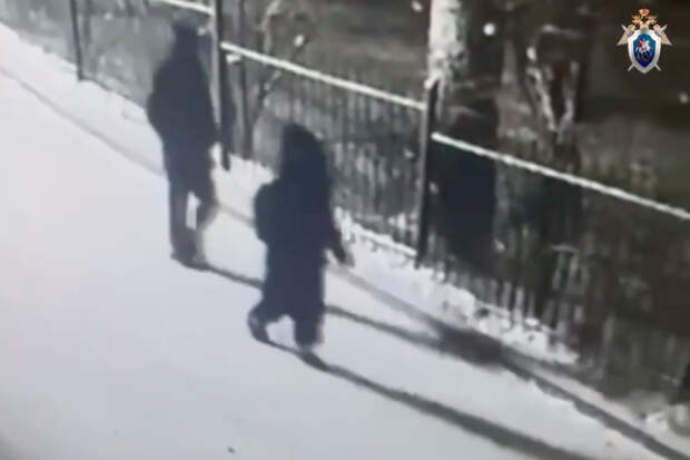 Появилась первая версия похищения российского подростка