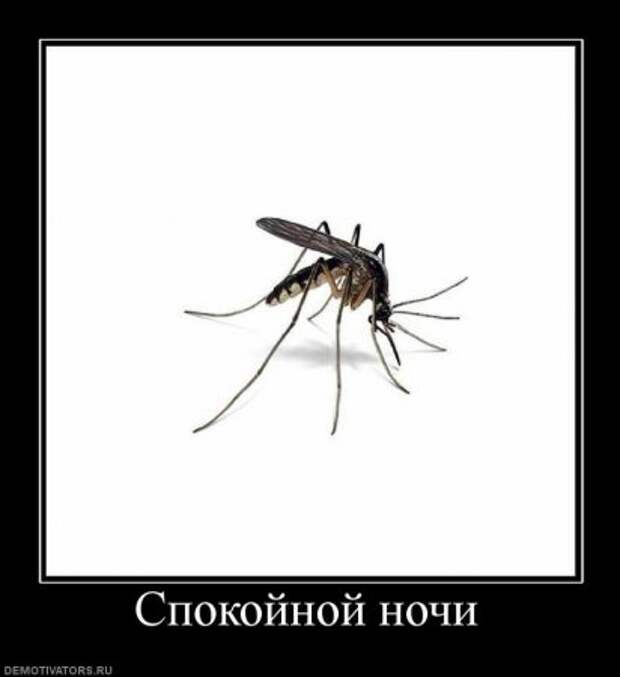 Демотиваторы смешнее подборки чем у нас не найдете!