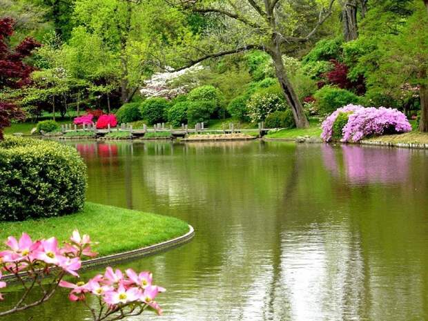 Японский сад (121) (700x525, 372Kb)