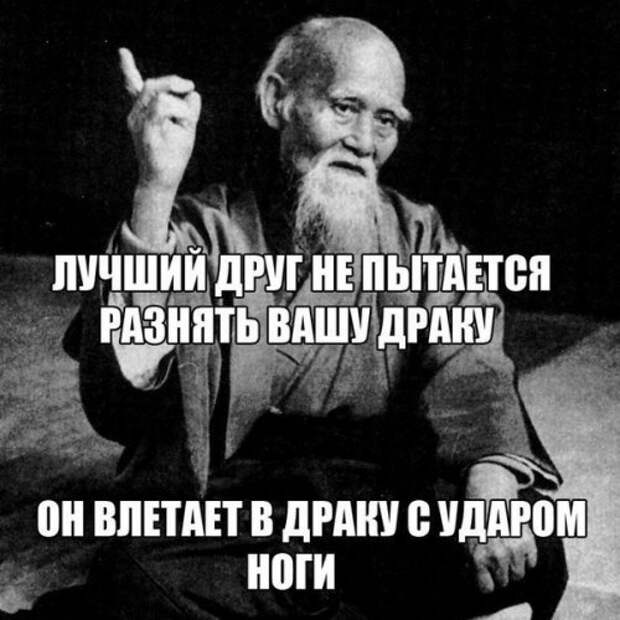 Прикольные фотомемы для хорошего настроения (31 шт)